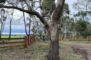 Lifestyle For Sale - VIC - Freshwater Creek - 3217 - 'Cypress Lane' - Stunning Exclusive Location on the Surf Coast  (Image 2)