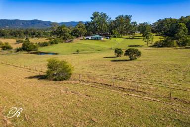 Acreage/Semi-rural For Sale - NSW - Wards River - 2422 - Small Farm - Tranquil Setting  (Image 2)