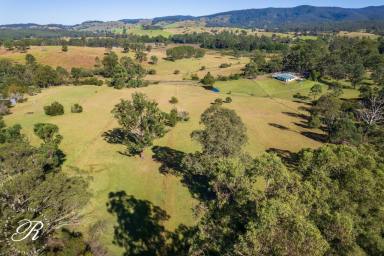 Acreage/Semi-rural For Sale - NSW - Wards River - 2422 - Small Farm - Tranquil Setting  (Image 2)