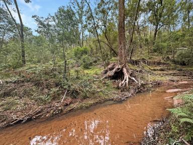 Lifestyle Sold - NSW - Paynes Crossing - 2325 - 80 Acres of Pristine Bushland  (Image 2)