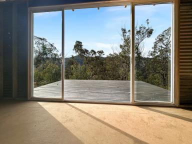 Lifestyle For Sale - NSW - Paynes Crossing - 2325 - Weekender retreat on 78 Wilderness Acres!  (Image 2)