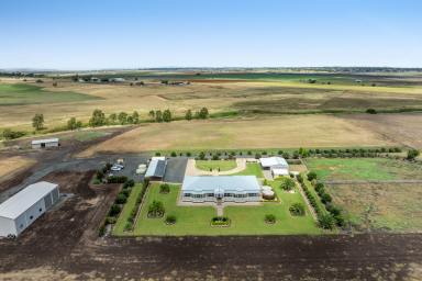 Acreage/Semi-rural For Sale - QLD - Oakey - 4401 - "Willow Glen" – Expansive Homestead, Sheds, Bores, Irrigation 0n 52 Acres -20 Minutes West Of Toowoomba  (Image 2)