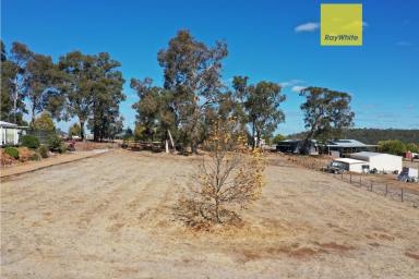 Residential Block For Sale - WA - Bridgetown - 6255 - 2,001sqm land, in the Highlands!  (Image 2)