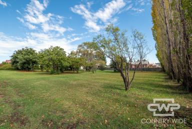 Residential Block Sold - NSW - Glen Innes - 2370 - Vacant Block In Center Town...  (Image 2)