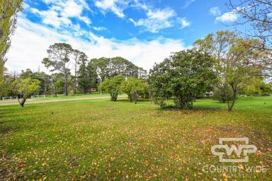 Residential Block Sold - NSW - Glen Innes - 2370 - Vacant Block In Center Town...  (Image 2)