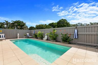 House Sold - QLD - Point Vernon - 4655 - Seize the Opportunity  (Image 2)