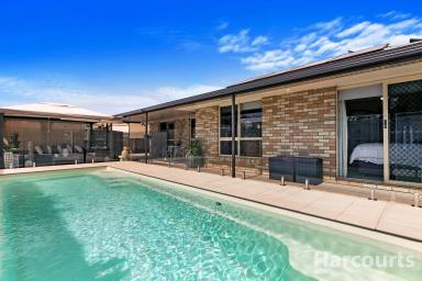 House Sold - QLD - Point Vernon - 4655 - Seize the Opportunity  (Image 2)