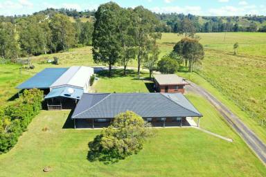 Mixed Farming For Sale - NSW - Kyogle - 2474 - CEDAR POINT  (Image 2)