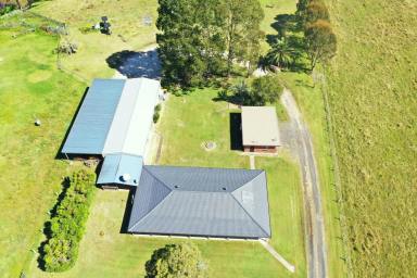 Mixed Farming For Sale - NSW - Kyogle - 2474 - READY TO MOVE IN  (Image 2)