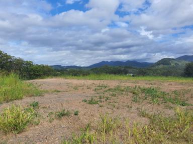 Residential Block For Sale - NSW - Coffs Harbour - 2450 - Level Block at the Top of the Hill  (Image 2)