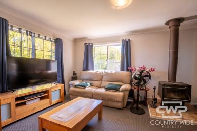 House For Sale - NSW - Glen Innes - 2370 - Brick Home With Impressive Sunroom  (Image 2)