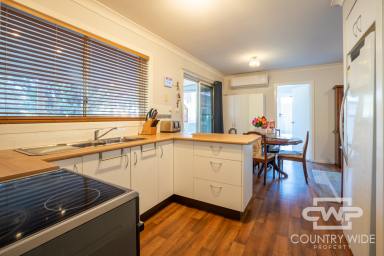 House For Sale - NSW - Glen Innes - 2370 - Brick Home With Impressive Sunroom  (Image 2)