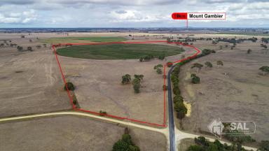 Cropping For Sale - SA - Mingbool - 5291 - STRONG, HIGHLY PRODUCTIVE LAND WITH BITUMEN ROAD FRONTAGE AND SECONDARY ACCESS  (Image 2)
