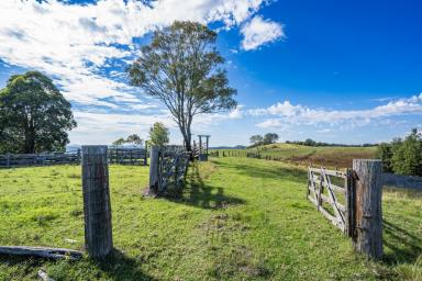 Other (Rural) Auction - NSW - Glen Martin - 2321 - 'Mahers Knob' affordable rural country.  (Image 2)