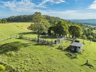 Other (Rural) Auction - NSW - Glen Martin - 2321 - 'Mahers Knob'- Unparalleled Rural Beauty  (Image 2)