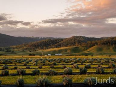 Lifestyle For Sale - NSW - Dalwood - 2335 - Koorakai - Hunter Valley Riverfront Homestead  (Image 2)