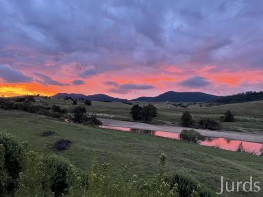 Lifestyle For Sale - NSW - Dalwood - 2335 - Koorakai - Hunter Valley Riverfront Homestead (Image 2)