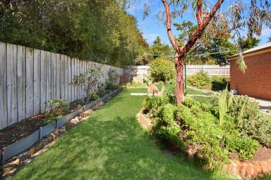House Leased - VIC - Grovedale - 3216 - Sustainable Living in Central Grovedale  (Image 2)