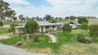 Lifestyle Sold - NSW - Tamworth - 2340 - VALUE FOR MONEY ACREAGE  (Image 2)