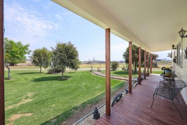 Lifestyle Sold - NSW - Tamworth - 2340 - VALUE FOR MONEY ACREAGE  (Image 2)