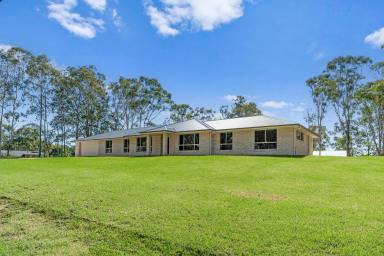 House For Sale - NSW - Seaham - 2324 - ONE YEAR OLD BUILD ON HALF AN ACRE  (Image 2)