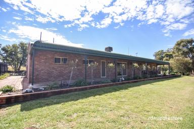 Acreage/Semi-rural For Sale - NSW - Warialda - 2402 - BEST OF BOTH WORLDS  (Image 2)