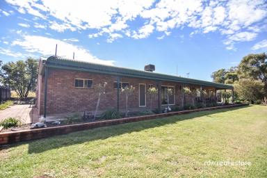 Acreage/Semi-rural Sold - NSW - Warialda - 2402 - BEST OF BOTH WORLDS  (Image 2)