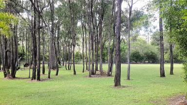 Lifestyle For Sale - QLD - Millstream - 4888 - Private setting, with granny flat and,,,sheds.  (Image 2)