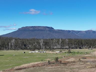 Other (Rural) For Sale - TAS - Mersey Forest - 7304 - Views of Cradle Mountain  (Image 2)