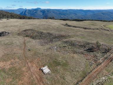 Other (Rural) For Sale - TAS - Mersey Forest - 7304 - Views of Cradle Mountain  (Image 2)