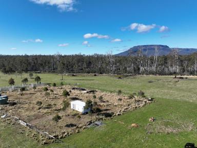 Other (Rural) For Sale - TAS - Mersey Forest - 7304 - Views of Cradle Mountain  (Image 2)