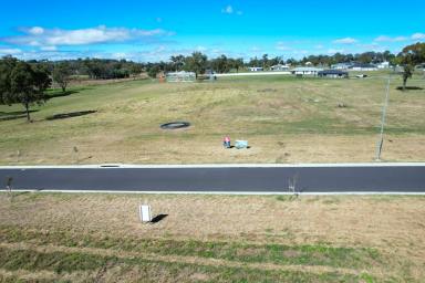 Residential Block Sold - QLD - Warwick - 4370 - REGISTERED LAND - READY TO BUILD ON  (Image 2)