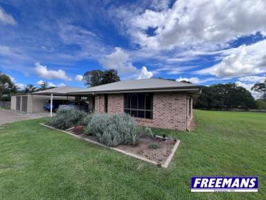 House For Sale - QLD - Kingaroy - 4610 - Set up High out of the Frost.  (Image 2)