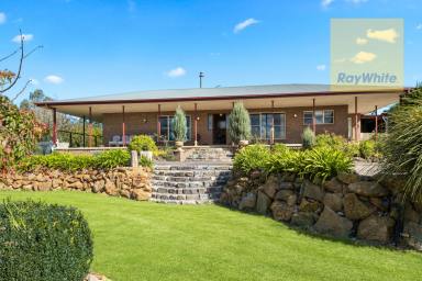 Lifestyle For Sale - NSW - Goulburn - 2580 - You Won't Find Better  (Image 2)