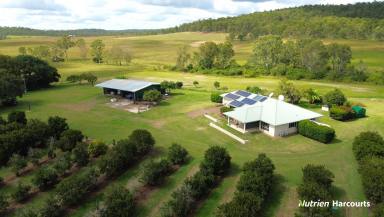 Cropping For Sale - QLD - McIlwraith - 4671 - Farming Meets Lifestyle  (Image 2)