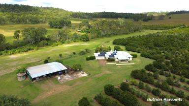 Cropping For Sale - QLD - McIlwraith - 4671 - Farming Meets Lifestyle  (Image 2)