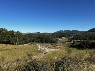 Residential Block For Sale - NSW - Coffs Harbour - 2450 - The Perfect Level and affordable block.  (Image 2)