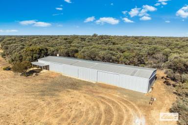 Other (Rural) For Sale - VIC - Bagshot North - 3551 - 108 Ha / 267 Ac, Airstrips, Dam, Hangar & Office Space  (Image 2)