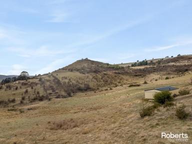 Residential Block For Sale - TAS - Hamilton - 7140 - Escape to the Country  (Image 2)