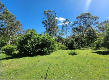 Acreage/Semi-rural For Sale - QLD - Crows Nest - 4355 - Escape the hustle and bustle in your own private oasis!  (Image 2)