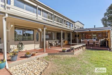 House For Sale - TAS - Turners Beach - 7315 - ABSOLUTE BEACH FRONT LIVING!  (Image 2)