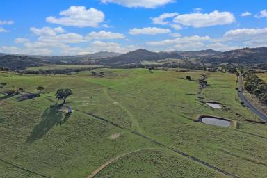 Mixed Farming For Sale - NSW - Wyangala - 2808 - 691AC* FAMILY HOME SET ON THE BANK OF THE LACHLAN RIVER!  (Image 2)
