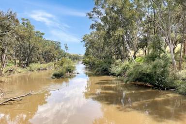 Mixed Farming For Sale - NSW - Wyangala - 2808 - 691AC* FAMILY HOME SET ON THE BANK OF THE LACHLAN RIVER!  (Image 2)