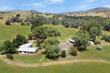 Mixed Farming For Sale - NSW - Wyangala - 2808 - 691AC* FAMILY HOME SET ON THE BANK OF THE LACHLAN RIVER!  (Image 2)
