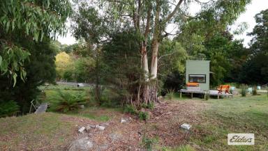 Studio For Sale - TAS - Penguin - 7316 - TINY HOME & CONTAINER ACCOMMODATION ON 1-ACRE  (Image 2)