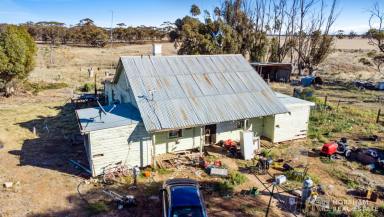 Residential Block For Sale - VIC - Berriwillock - 3531 - Serene Rural Retreat: 5.3 Acre Property with Renovation Potential  (Image 2)