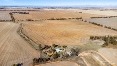 Residential Block For Sale - VIC - Berriwillock - 3531 - Serene Rural Retreat: 5.3 Acre Property with Renovation Potential  (Image 2)
