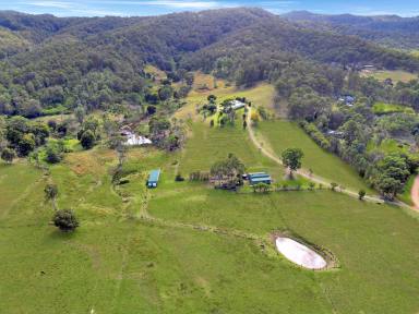 Lifestyle For Sale - NSW - Millfield - 2325 - ‘Summerview’ – A Prime Acreage with Magnificent Views!  (Image 2)