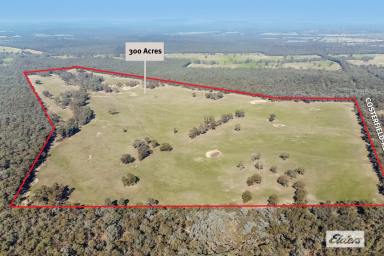 Other (Rural) Sold - VIC - Costerfield - 3523 - Idyllic 300 Acres with Serene Bushland Neighbours  (Image 2)