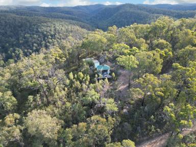 Lifestyle For Sale - NSW - Laguna - 2325 - 232 Diverse Acres of Adventure with Subdivision Potential  (Image 2)